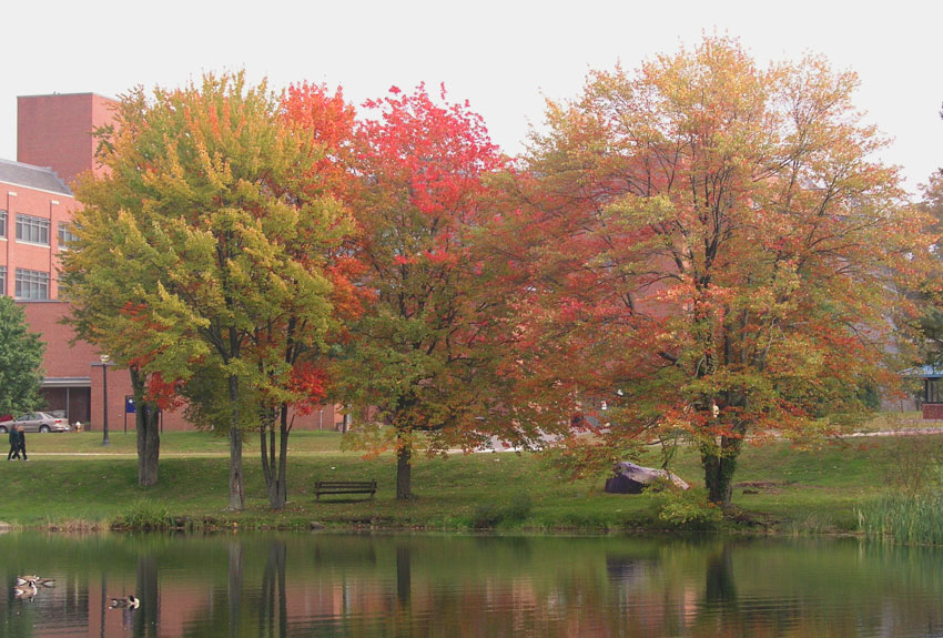 [Image: fall_colors4.jpg]
