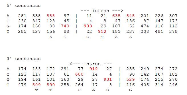 intron table