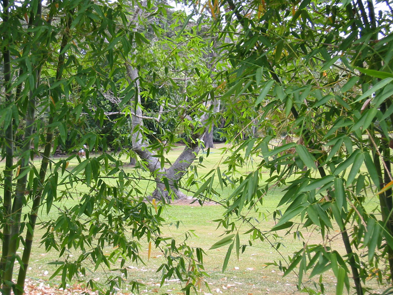 104-0417_IMG
