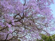 103-0341_IMG