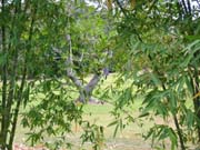 104-0417_IMG