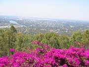 Brisbane_panorama2